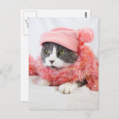Chat avec carte postale Casquette rose (Devant / Derrière)