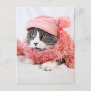 Chat avec carte postale Casquette rose