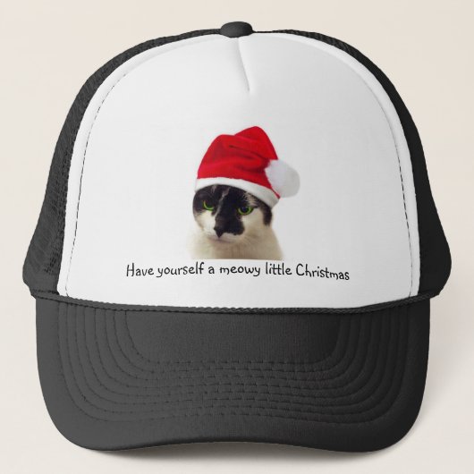 Chat avec Casquette Père Noël (Devant)