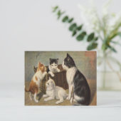 Chat avec chatons dans le panier Carte postale Vin (Debout devant)