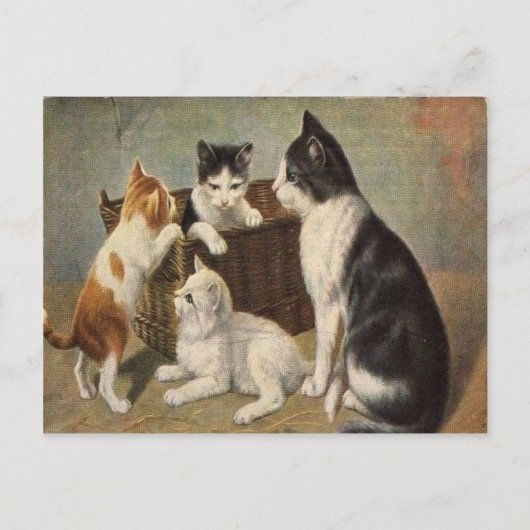 Chat avec chatons dans le panier Carte postale Vin (Devant)