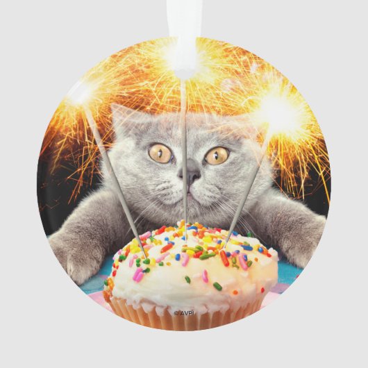 Chat Avec Cupcake Sparkler (dos)