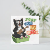 Chat avec la carte Ukulele (Debout devant)