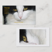 Chat avec le carte de visite d'or de yeux (Devant / Derrière)