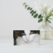 Chat avec le carte de visite d'or de yeux (Debout devant)