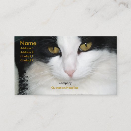 Chat avec le carte de visite d'or de yeux (Devant)