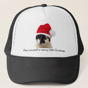 Chat avec le casquette de Père Noël