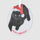 Chat avec le casquette rouge de Père Noël (devant)