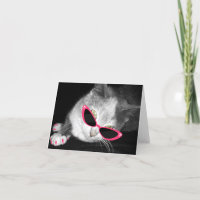Chat avec les lunettes de soleil et le carte pour