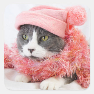 Chat avec Stickers Carré Casquette rose, Glossy