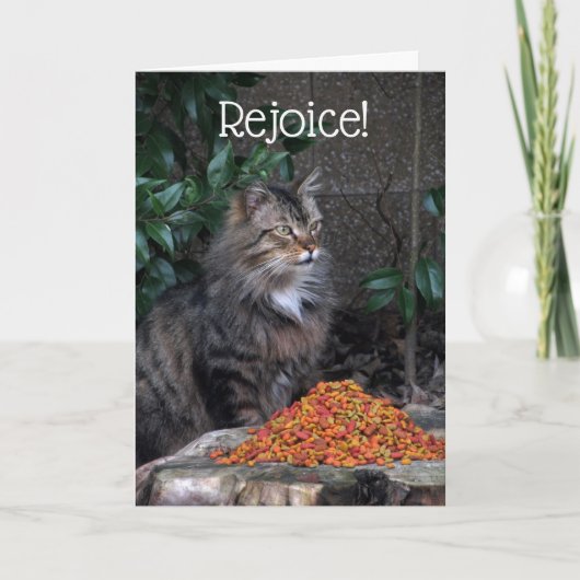 Chat avec une carte de miracle de Pâques (Devant)