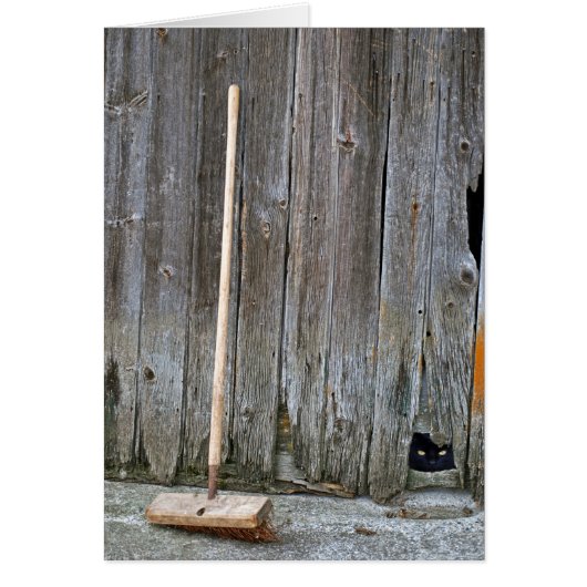 Chat avec Vielle Barne (Devant)