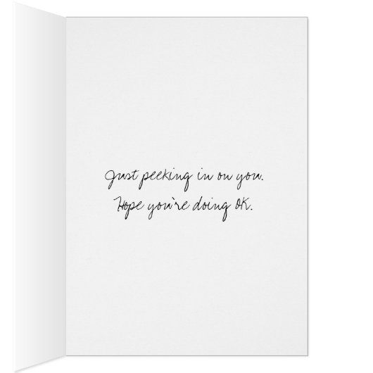 Chat avec Vielle Barne (Intérieur (Droit))