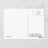 Chat avec yeux en cuivre / Carte postale Amoureux (Dos)