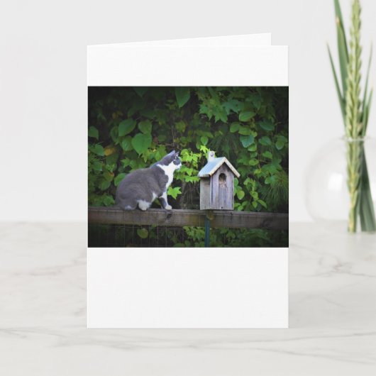 Chat & Birdhouse, carte (Devant)