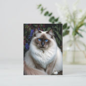 Chat Birman dans la carte postale du jardin (Debout devant)