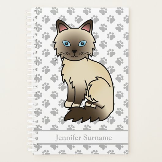 Chat Birman/ Ragdoll pointe chocolat et pattes & T (Devant)