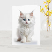 Chat blanc à poil long et yeux bleus Carte vierge (Fleur jaune)