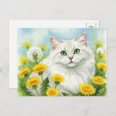 Chat blanc avec carte postale (Devant / Derrière)