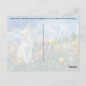 Chat Blanc - Carte postale (Dos)