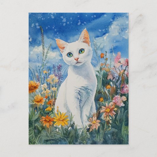 Chat Blanc - Carte postale (Devant)