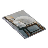 Chat blanc Cosy Chaise en bois Carnet (Côté Droit)