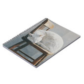 Chat blanc Cosy Chaise en bois Carnet (Côté gauche)