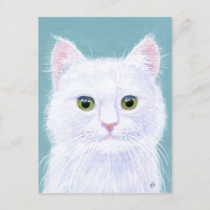 Chat blanc mignon avec une carte postale aux yeux 