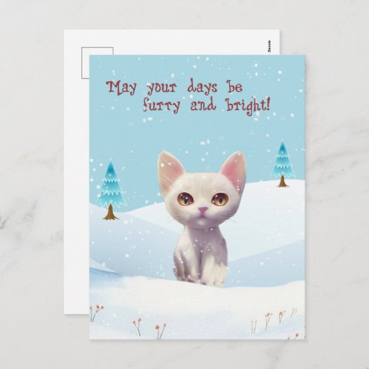 Chat blanc mignon en Carte postale Noël Neige (Devant / Derrière)