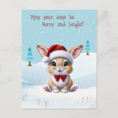 Chat blanc mignon en Carte postale Noël Neige (Devant)