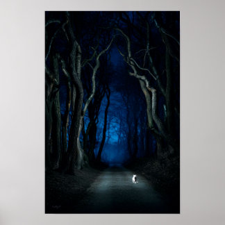 Chat blanc sur Canopy Road à Night Poster Art Impr