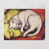 Chat blanc sur une carte postale Franz Marc Coussi (Devant)