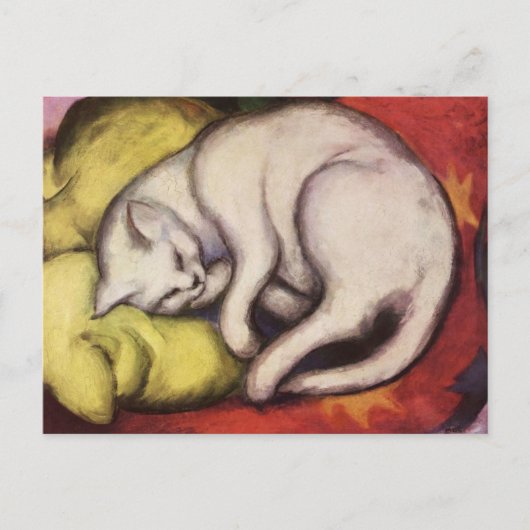 Chat blanc sur une carte postale Franz Marc Coussi (Devant)