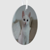 chat blanc | Zazzle_Growshop. (devant)