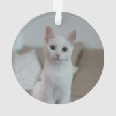 chat blanc | Zazzle_Growshop. (dos)