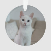 chat blanc | Zazzle_Growshop. (devant)