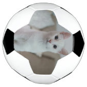chat blanc | Zazzle_Growshop. (Tourné)
