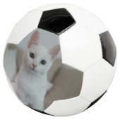 chat blanc | Zazzle_Growshop. (3/4)