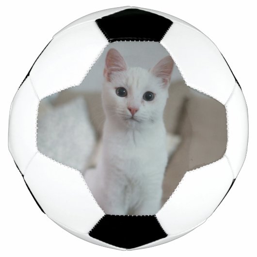 chat blanc | Zazzle_Growshop. (Devant)