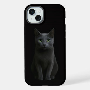 Chat bleu russe Black 4 Luxe