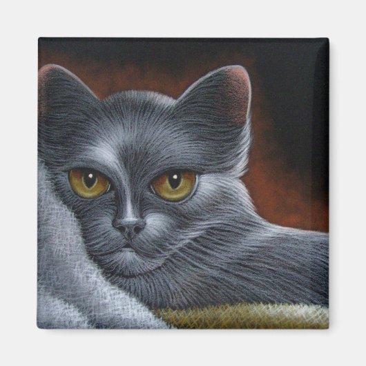 CHAT BLEU RUSSE MAGNET (Devant)