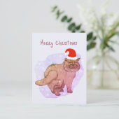 Chat britannique. Père Noël cat. Carte postale pou (Debout devant)