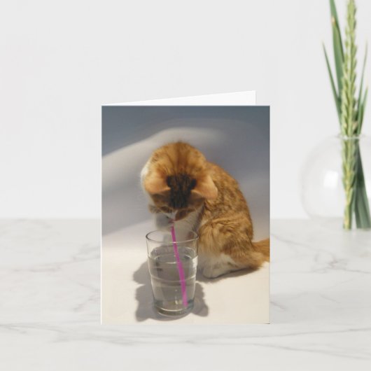 Chat buvant de la carte de note de blanc de paille (Devant)