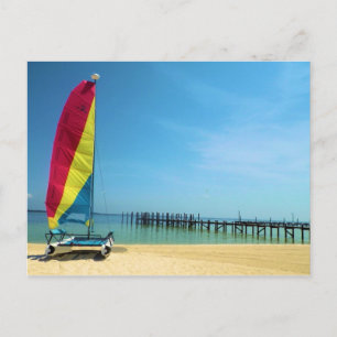 Chat by the Sea - Carte postale de voile