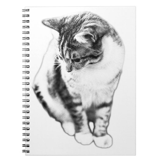 Chat Calme Vue vers le bas Carnet Portrait (Devant)