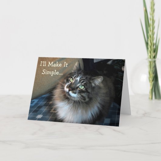 Chat Chat Anniversaire Chat Carte Anniversaire (Devant)