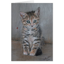 Chat, chaton à table, juste en train de poser, de 