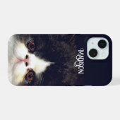 Chat chaton blanc et noir (Verso Horizontal)