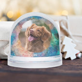 Chat Chien Sympathie Pour La Perte De La Photo Ani