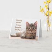 *CHAT COMÉDIQUE* POUR MA CARTE D'ANNIVERSAIRE DE F (Fleur jaune)